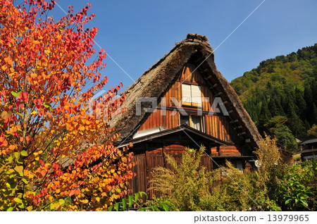 白川鄉和秋葉的聯合結構 13979965