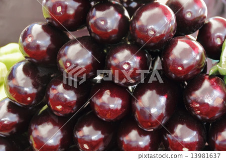 Background with fresh vegetables Background with fresh vegetables 13981637
