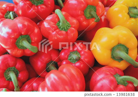 Red and yellow raw pepper Red and yellow raw pepper 13981638