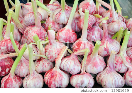 Background of fresh vegetables Background of fresh vegetables 13981639