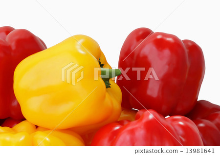 Red and yellow raw pepper Red and yellow raw pepper 13981641
