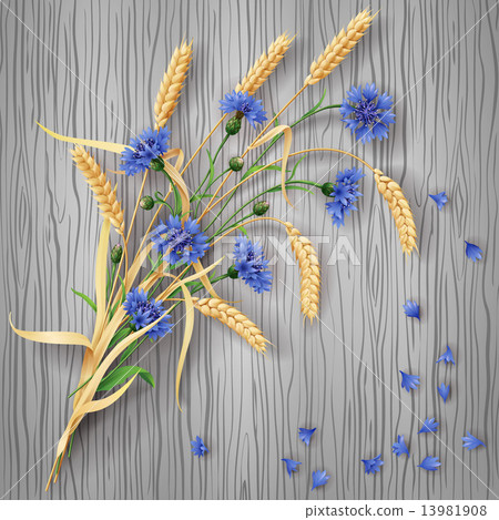 Cornflowers and wheat ears bunch on wood background Cornflowers and wheat ears bunch on wood background 13981908
