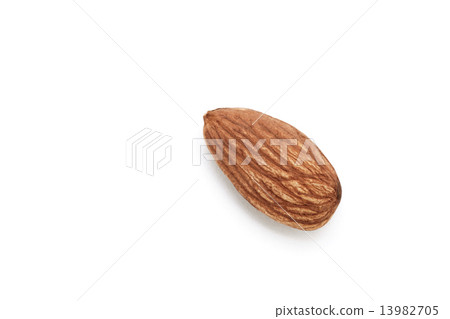 Almond 13982705