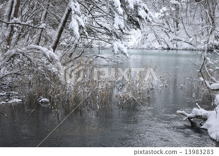 Winter lake 5 Goshikinuma Vishamon swamp 13983283