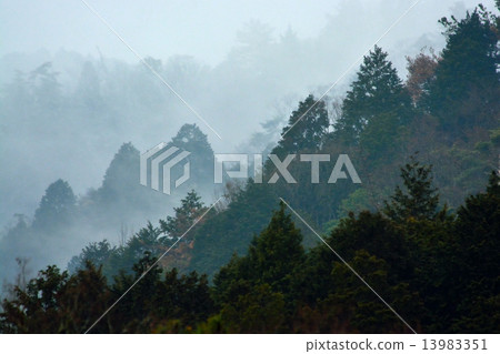 猴子山在早期的春天 13983351