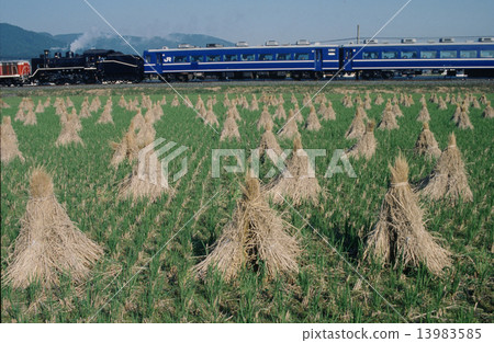 Locomotive goes 13983585