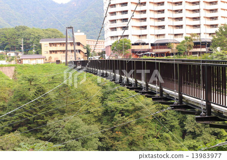 Suspension bridge _JAPAN 13983977