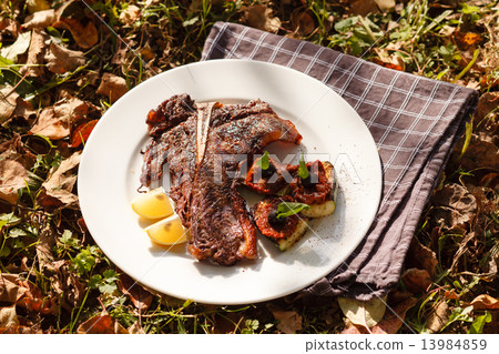 grilled steak grilled steak 13984859