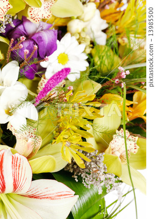beautiful bouquet beautiful bouquet 13985500