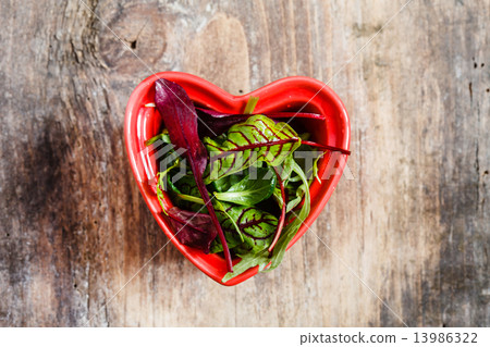 fresh salad leaves fresh salad leaves 13986322