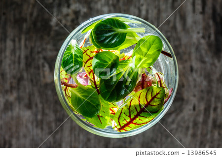 fresh salad leaves 13986545