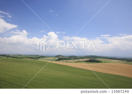 Earth of wheat fields Earth of wheat fields 13987249