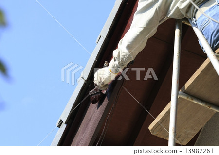 Paint image 13987261
