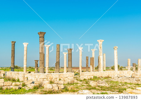 Ruins of Gueweve (Jordan, Irbid North) 13987893