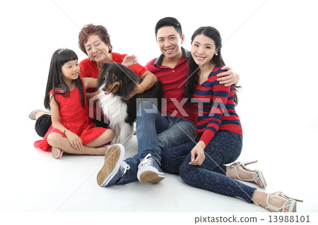 Three generation Family and pet dog 13988101