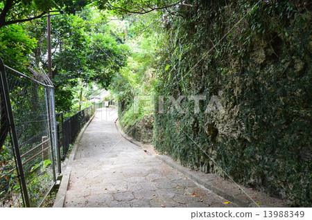 Kanagi鎮·石鋪街道(沖繩縣那霸市首里金城鎮) Kanagi鎮·石鋪街道(沖繩縣那霸市首里金城鎮) 13988349