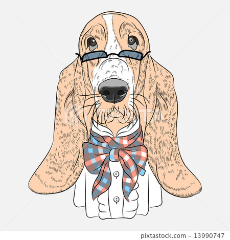 vector funny cartoon hipster dog Basset Hound 13990747