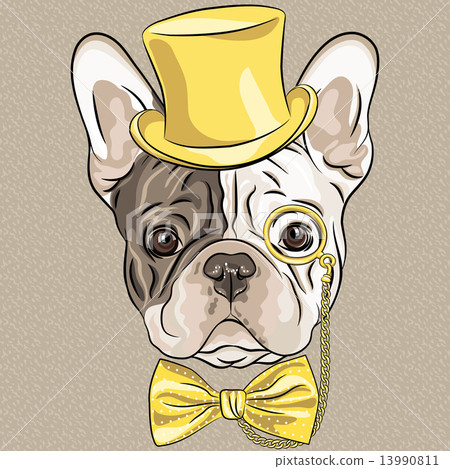 vector funny cartoon hipster French Bulldog dog vector funny cartoon hipster French Bulldog dog 13990811