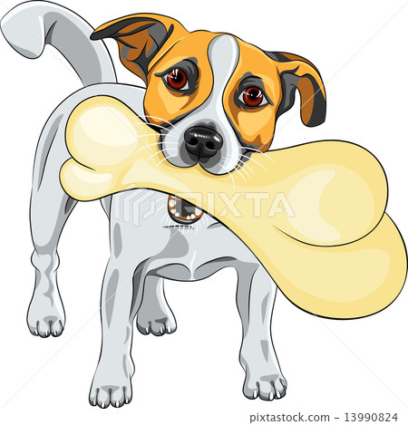 vector dog Jack Russell Terrier keeps the bone - Stock Illustration ...