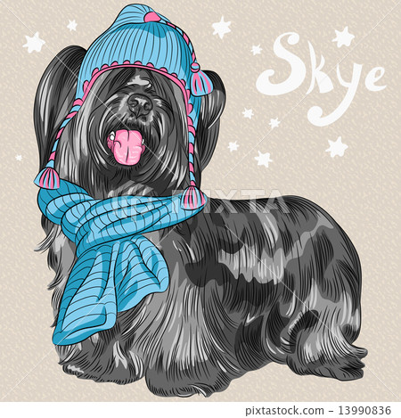 vector cartoon hipster dog Skye Terrier breed smiling vector cartoon hipster dog Skye Terrier breed smiling 13990836