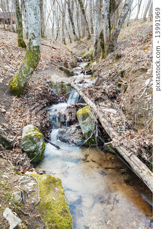 scenic with stream in mountain woods in spring 13991969