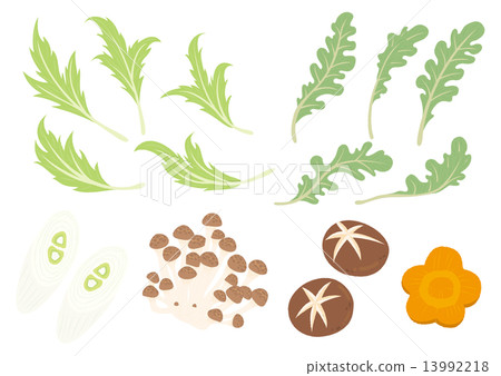 鍋的材料(蔬菜和蘑菇) 鍋的材料(蔬菜和蘑菇) 13992218
