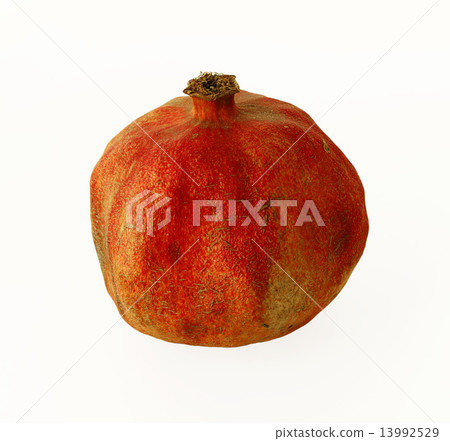Pomegranate 13992529