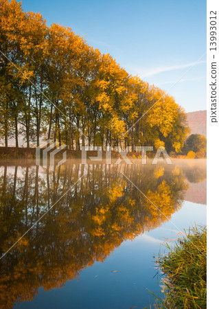 On the Berounka river in the morning On the Berounka river in the morning 13993012