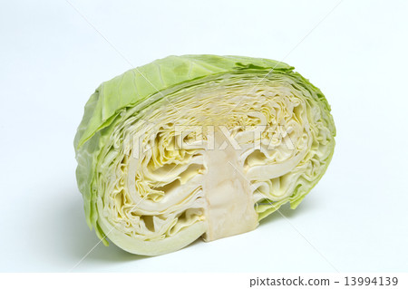 Cabbage cut in half 13994139