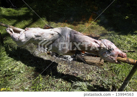 barbecue with cow on a small fire 13994563