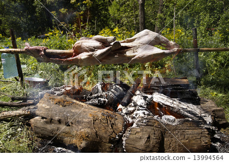 barbecue with cow on a fire 13994564