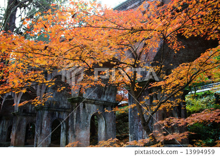 Nanzenji Waterwayo秋葉 13994959