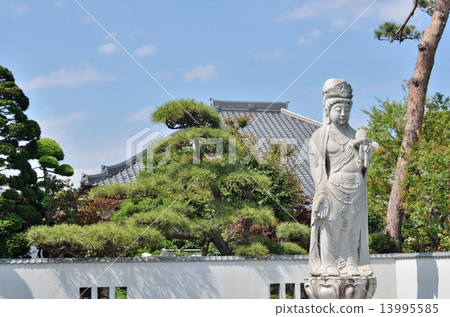 Nagatoronji Kannon雕像在杉並區和主要大廳裡 13995585