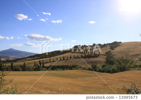 Orcia Valley  -  3 13995673