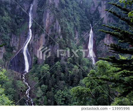 Sounyo Ginkgo Falls and Meteor Falls in early summer 13995996