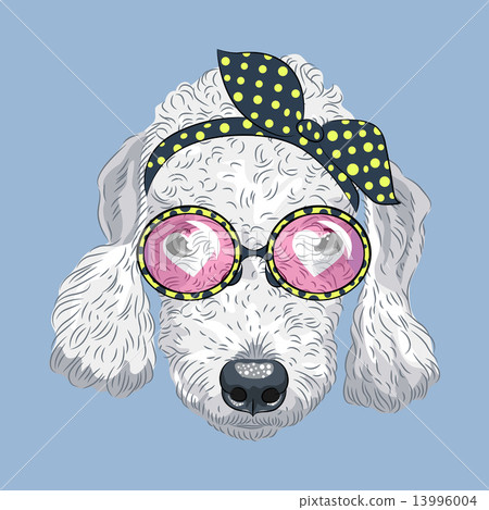 vector funny cartoon hipster dog Bedlington Terrier vector funny cartoon hipster dog Bedlington Terrier 13996004