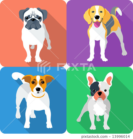 set dog icon flat design set dog icon flat design 13996014