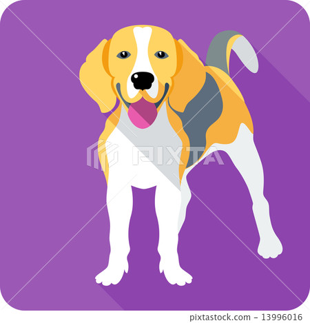 dog icon flat design dog icon flat design 13996016