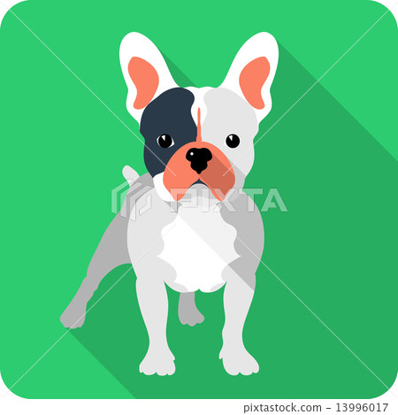 dog icon flat design dog icon flat design 13996017