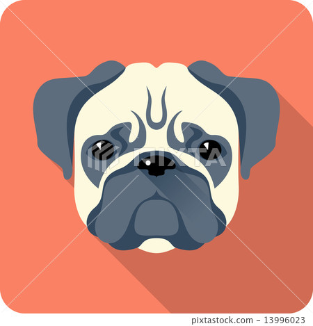 dog icon flat design dog icon flat design 13996023