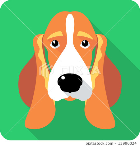 dog Basset Hound icon flat design dog Basset Hound icon flat design 13996024