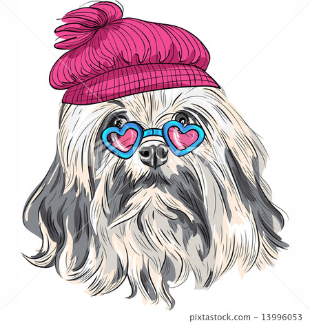 vector funny cartoon hipster Lowchen dog vector funny cartoon hipster Lowchen dog 13996053