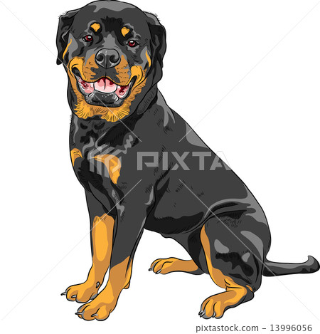 is the rottweiler legal in cayman islands