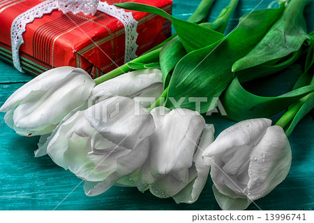 gift for your favorite background tulips gift for your favorite background tulips 13996741