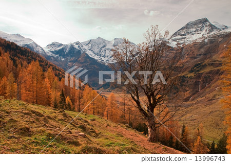 Autumn in the Alps in Austria Autumn in the Alps in Austria 13996743