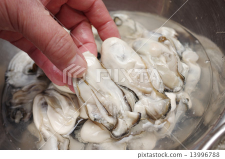 用生蘿蔔手洗蘿蔔 用生蘿蔔手洗蘿蔔 13996788
