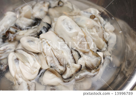 生牡蠣成碗 生牡蠣成碗 13996789
