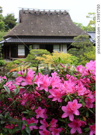 Isuien花園 13997780