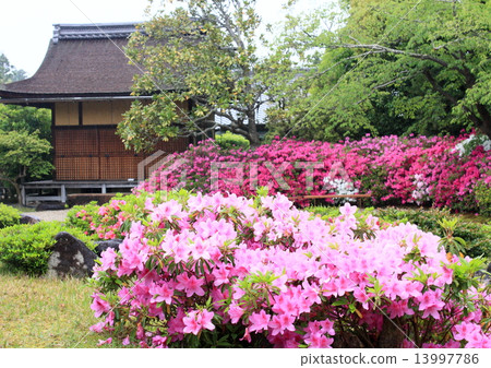 Isuien花園 13997786