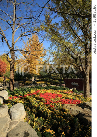 Beijing Koshi Park 13998166